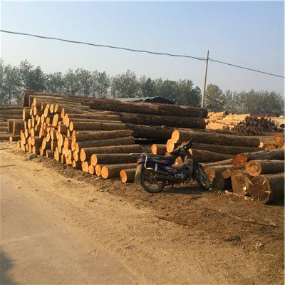 中林木材加工厂(图)-辐射松方木定做-聊城辐射松方木