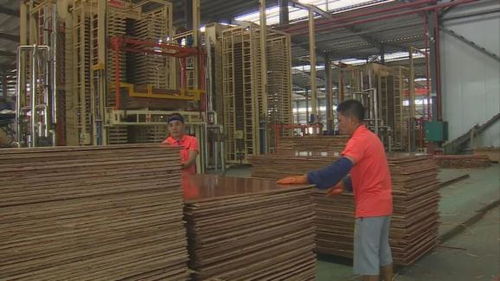 来宾 加快 东融 步伐 打造广西内陆产业转移主阵地