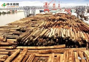 老挝木材加工业与周边国家相比发展缓慢