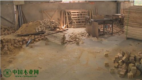 泗阳县三庄镇 加快木业转型升级提高安全生产意识